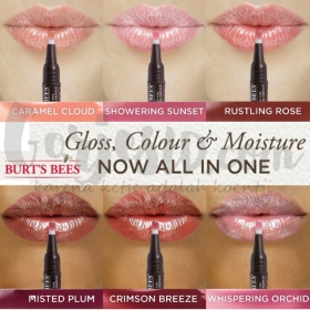Burt’s Bees Whispering Orchid Tinted Lip Gorgeous Oil
