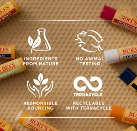 Burt's Bees 100% Natural Lip Balm Mango