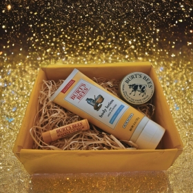 Burt's Bees Essential Pamper Gift Set In A Box, Hand Cream, Body Lotion, LipBalm