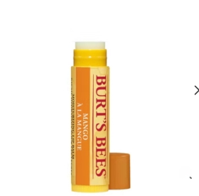 Burt's Bees 100% Natural Lip Balm Mango